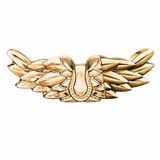 Zadig & Voltaire ZADIG / Unknown / Unknown