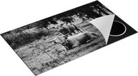 Chefcare Inductie Beschermer Schotse Hooglanders - Zwart Wit - 90x55 cm