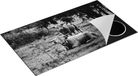 Chefcare Inductie Beschermer Schotse Hooglanders - Zwart Wit - 90x55 cm