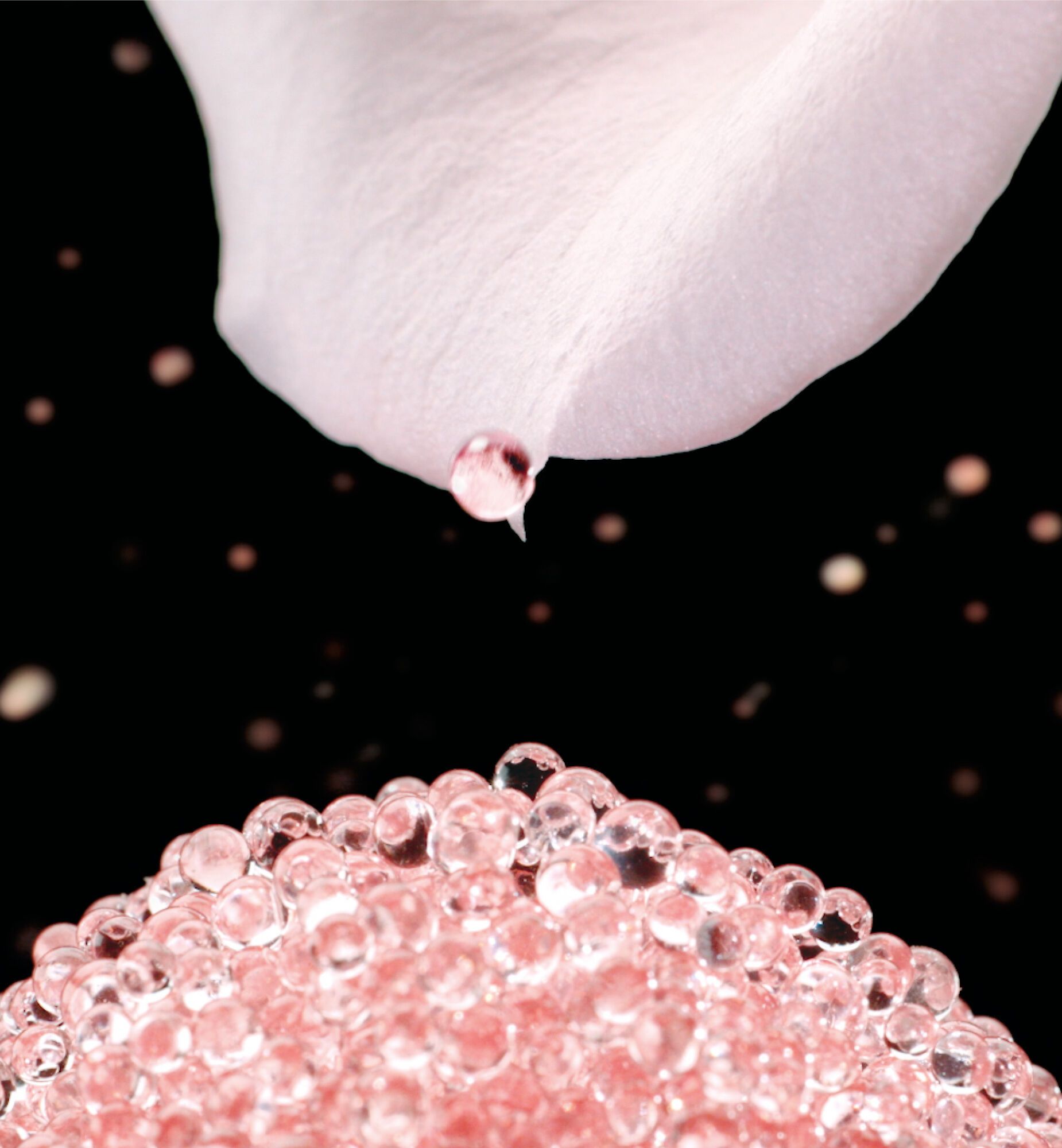 Dior Prestige Le Micro-Caviar de Rose Face Concentrate - 75ml