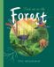 Find Hachette Ireland Find Me in the Forest