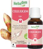 Herbalgem Celluligem Bio 30ml
