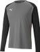 Puma Teampacer Keepershirt Lange Mouw Heren - Grijs / Zwart | Maat: M