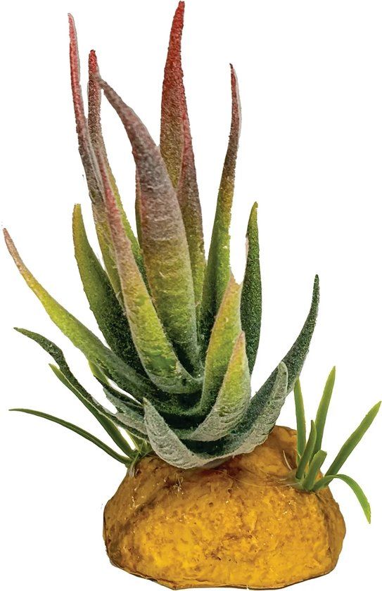 Repto Plant Aloe Red Tip Kunstplant Rood 11 cm