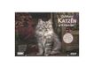 DuMonts Katzen Kalender 2027