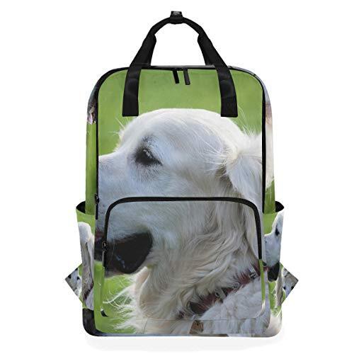 MONTOJ Reizen Rugzak Leuke Hond Retriever Patroon School Rugzak