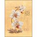 LANARTE Borduurpakket Kruissteek Schilderij DRIE ORCHIDEEËN Handwerkpakket voor Wanddecoratie 17 x 23 cm Borduurwerk met Telpatroon DIY Kit Moderne Kruissteek Cadeau Knutselen Voor Volwassenen