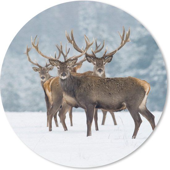 MousePadParadise Ronde muismat - Hert - Dieren - Sneeuw - Winter - Landschap - Natuur - 20x20 cm