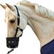 HKM Nylonhalster Met Muilkorf Zwart Pony