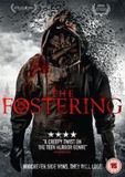The Fusion Media Sales Ltd Fostering / DVD / N.v.t. / N.v.t.