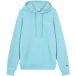 Champion Sweat à capuche Bleu Coton Homme Taille L
