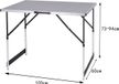 Merkloos / Sans marque Klaptafel - Opklapbare Tafel - Campingtafel - Opvouwbaar - Kunststof - Vouwtafel - Kamperen - Grijs