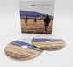 Coast2Coast Benedek Horvath - Bach: Goldberg Variations 'The Fourth Voice' (Blu-ray)