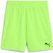 Puma Kindersportshort TeamGoal Shorts Jr 705753 Groen Unisex 164