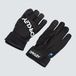 Oakley Heren Factory Winter Glove 2.0