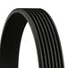 Contitech 7PK2682 V-riem