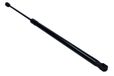 MAXGEAR 12-2533 Ressort à gaz hayon pour HONDA CIVIC X Hatchback (FC, FK) 561mm