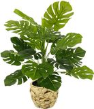 Flair Flower Kunstmatige Splitphilo-plant met pot