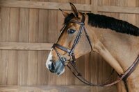 Dy on Plaited Flash Noseband Bridle with Pull back - Brown - Maat Full