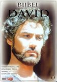 Merkloos De Bijbel - David DVD