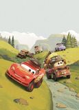 Komar Disney fleece fotobehang - Cars Camping - 200 x 280 cm