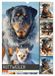 Rottweiler. Calvendo Rottweiler. Kraft, Herz und Treue (Wandkalender 2027 DIN A3 hoch), CALVENDO Monatskalender