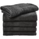 SG Accessories Serviettes Rhine Serviette de bain