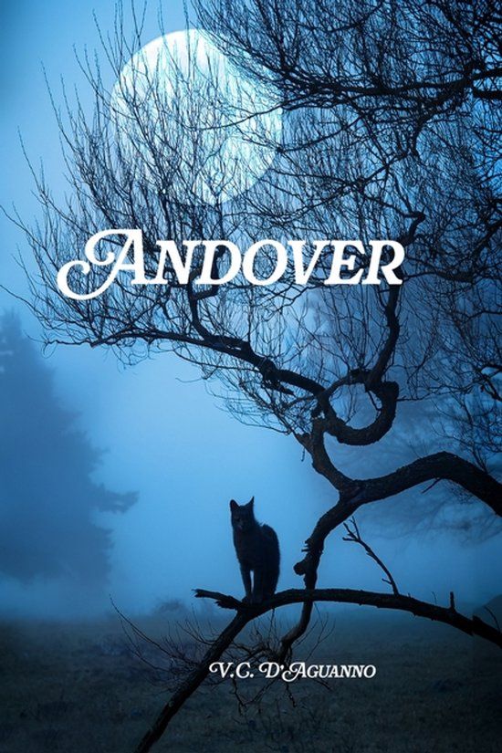 Andover Paperback