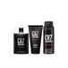 PERFUMS EDEN PARFUMS / 100ml / Unisex