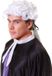 Bristol Novelty Ltd Bristol Novelty Unisex Adults Court Wig (White)