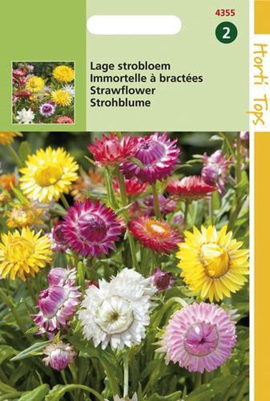 Hortitops Zaden - Helichrysum Bract. Monst.Tom Thumb Gem.