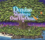 Stardrops Over the Ocean