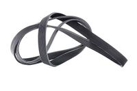 CONTITECH 6PK1856 V-riem
