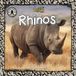 Rhinos: Safari Readers