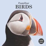 Familiar Birds: Photo Edition: A Large Print Picture Book with Conversational Prompts for Seniors with Alzheimer's and Dementia