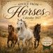 Advice from Horses Calendar 2027