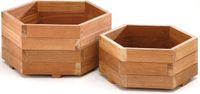 Intergard Bloembak plantenbak zeskant bangkirai hardhout SET
