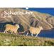 Seelenzauber Schapen Magie DIN A3 Kalender Voor 2022 Schapen En Lammeren