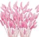 Ibenzoa® Magnifique set van 120 stelen droogbloemen met roze pampasgras