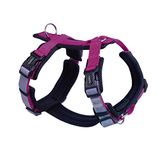 Nobby tuigje DAILY WALK COMFORT, framboos, S