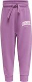 Hummel Kinderjoggingbroek Fast Apple Pants Argyle Purple
