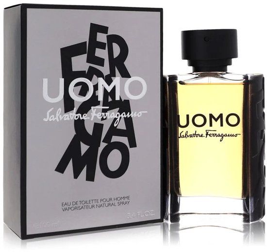 Salvatore Ferragamo Eau de Toilette / 100 ml / Mannen