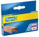 Rapid BEBE 11974688 Koperen nietjes, voor het nieten tot 15 vellen, te gebruiken met niettang, koperdraad, 3000 stuks