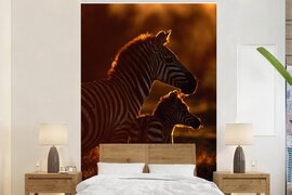 Nr1Wallpaper Behang - Fotobehang Zebra - Zon - Veulen - Breedte 195 cm x hoogte 300 cm