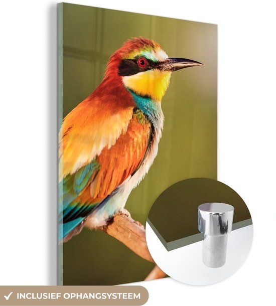 MuchoWow® Glasschilderij 90x120 cm - Acrylglas Schilderij - Vogels - Bijeneter - Regenboog - Dieren - Multicolor - Modern