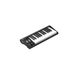Icon Pro Audio Artist 25 USB MIDI Keyboard Controller
