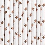PartyDeco Drinkrietjes - papier - 10x - wit/rose goud sterren - 19,5 cm