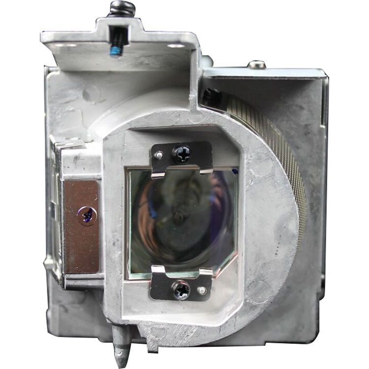 Optoma BL-FU310D Projector Lamp