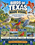 Birds of Texas Made Visual: A Color-Illustrated Guide to Identification, Habitats, and Common Species