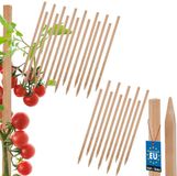 KOTARBAU® 25 st Tomatenstokken, Plantenstok, Beukenhout, 40 cm